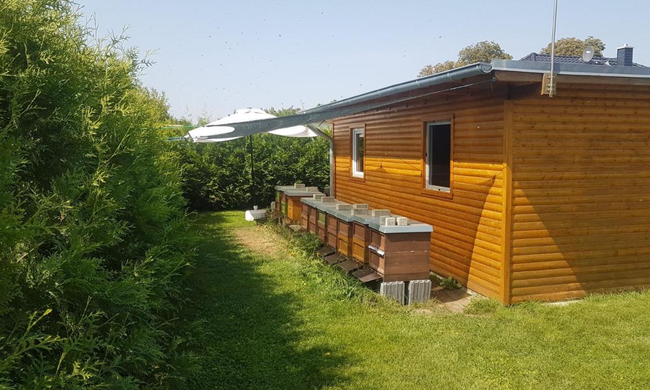 Ferienhaus Zum Imker Velten Exterior foto